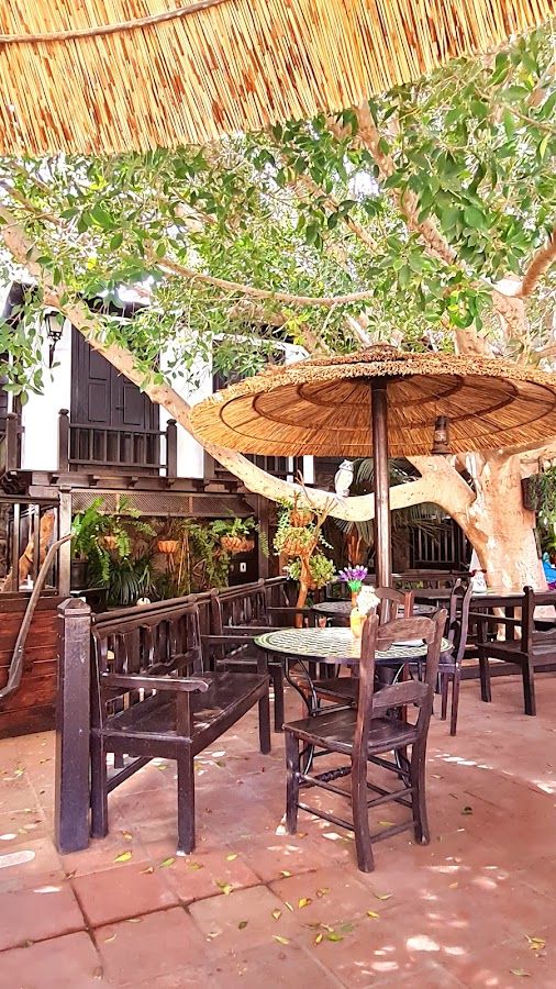 Terrazza Santa Maria: Bar in Betancuria