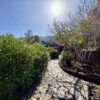 Icod: Vier Ferienapartments auf idyllischem Gartengrundstück