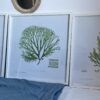 Bilder 60×60 im Holzrahmen